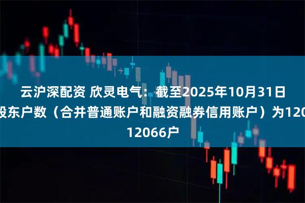 云沪深配资 欣灵电气：截至2025年10月31日公司股东户数（合并普通账户和融资融券信用账户）为12066户