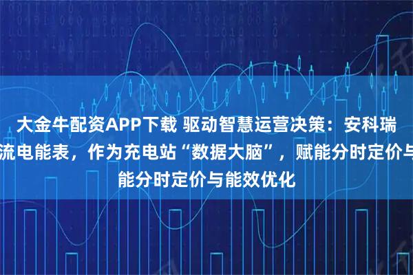 大金牛配资APP下载 驱动智慧运营决策：安科瑞PZ系列直流电能表，作为充电站“数据大脑”，赋能分时定价与能效优化